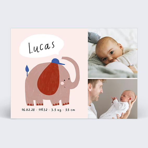 Faire part naissance Petit Éléphant Recto