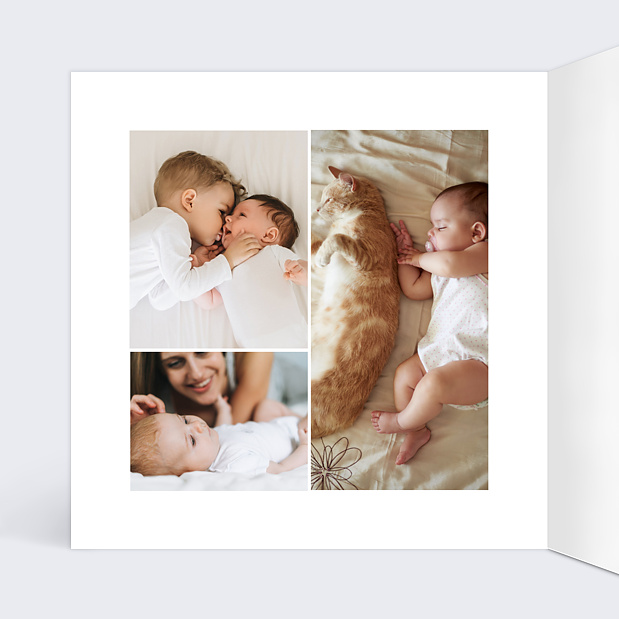 Faire-part Naissance Chaton Mignon Intérieur Gauche