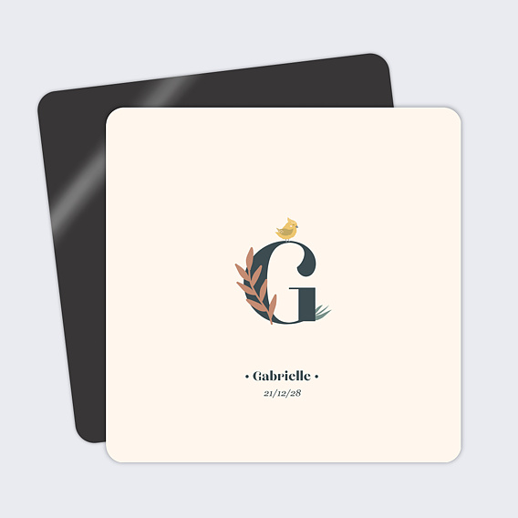 Faire part naissance Mésange Lettrine