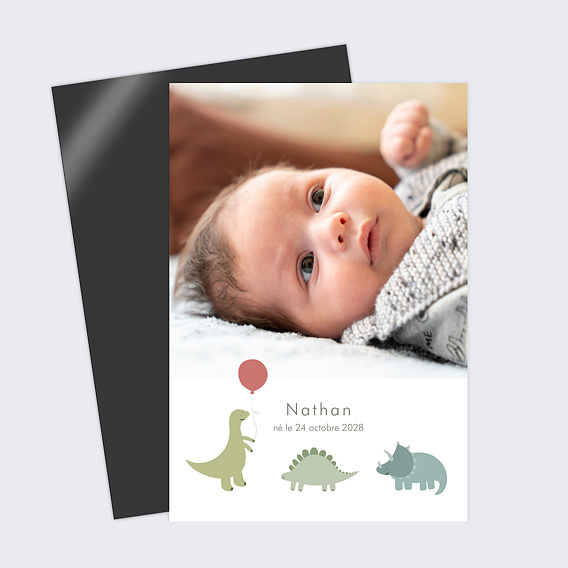 Faire part naissance Dinosaure Mignon