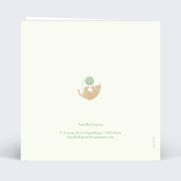 Faire-part Naissance Chaton Mignon Verso