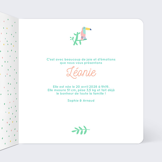 Faire-part Naissance Flamants Roses