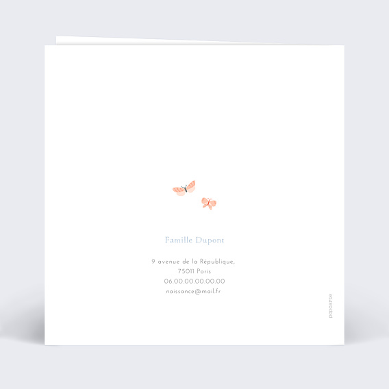 Faire part naissance Papillons Verso