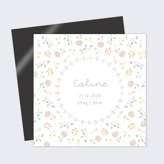 Faire part naissance Carolina