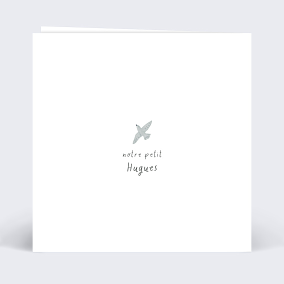 Faire part naissance Hérisson Verso