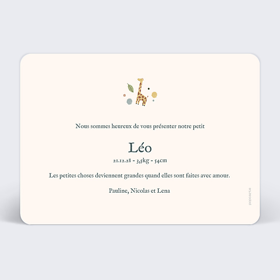 Faire-part Naissance Mobile Jungle