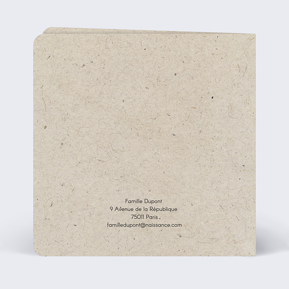 Faire part naissance Pêle Mêle Coton Verso