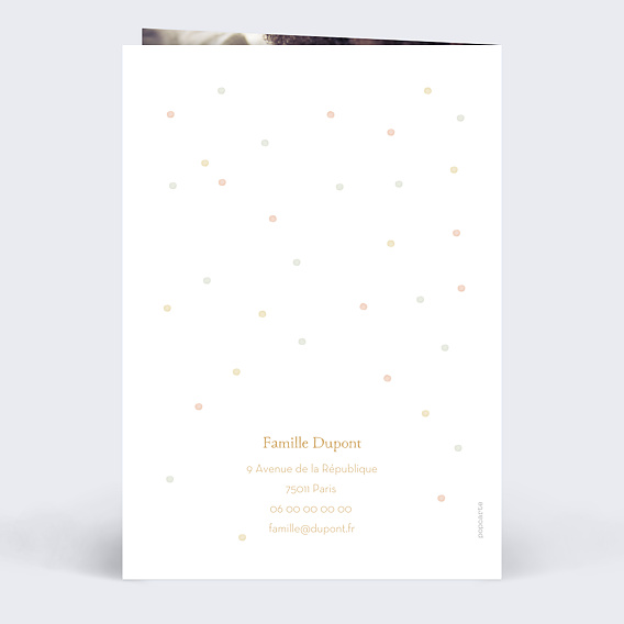 Faire part naissance Famille Ours Verso