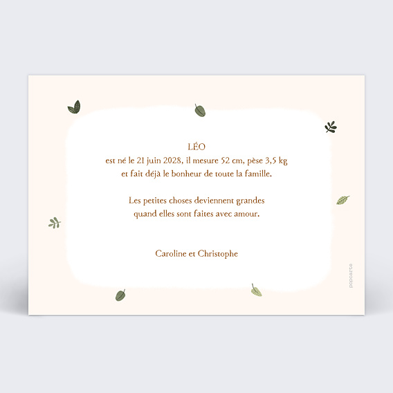 Faire part naissance Lion picto Verso