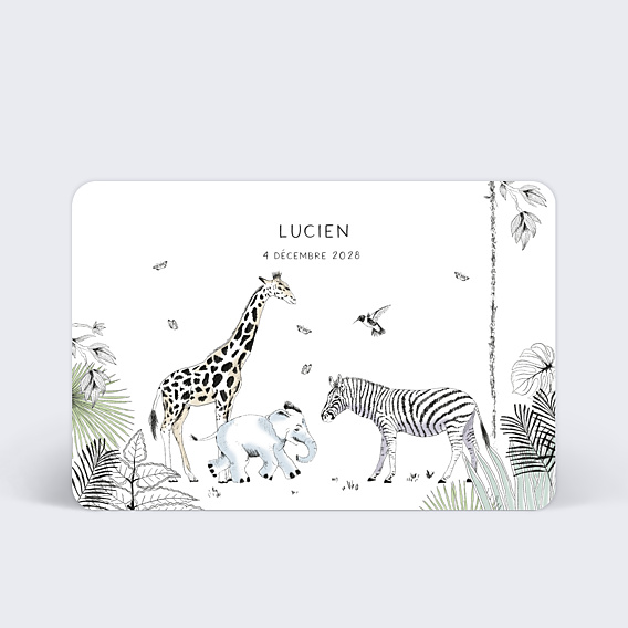 Faire part naissance Animaux Sauvages