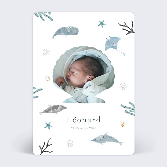 Faire part naissance Monde Marin Après 4