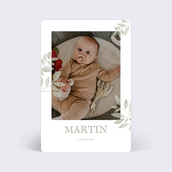 Faire part naissance Jolis brins