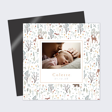 Faire-part Naissance Printemps
