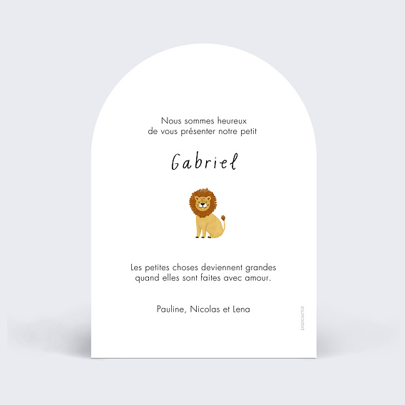 Faire part naissance Pictos savane Verso