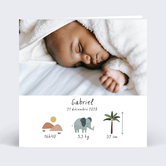 Faire part naissance Pictos savane Recto