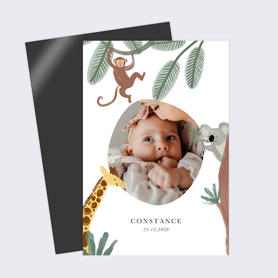 Faire part naissance Amis de la jungle