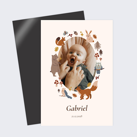 Faire part naissance Bois magique