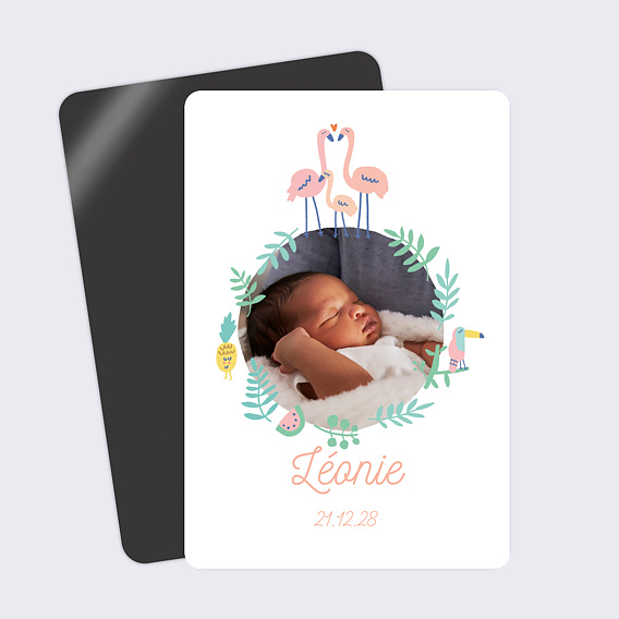 Faire part naissance Flamants Roses