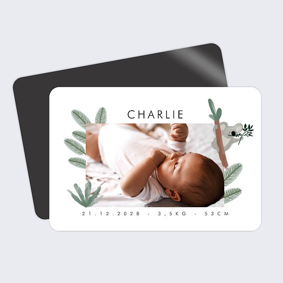 Faire part naissance Koala Mignon