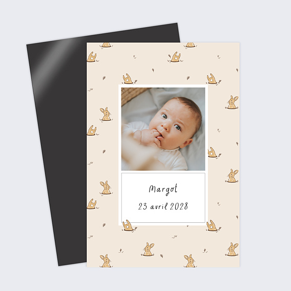 Faire part naissance Lapin dans son Terrier