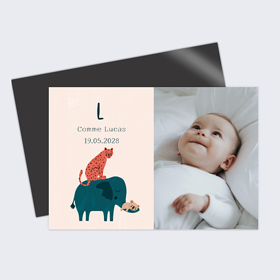 Faire part naissance Pyramide de la jungle