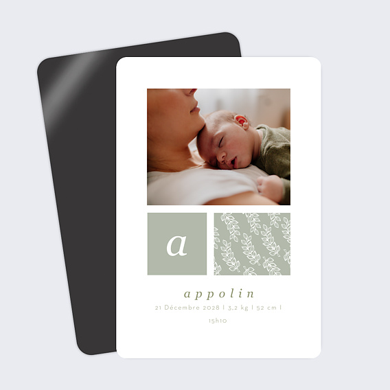 Faire part naissance Tilleul