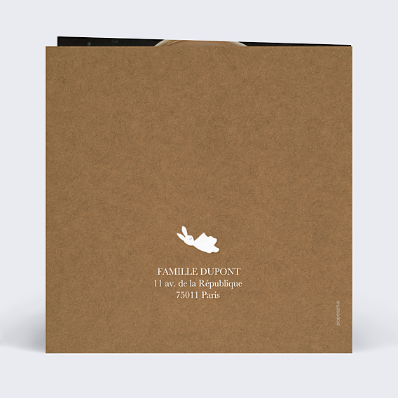 Faire-part Naissance Paresseux Original