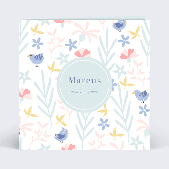 Faire part naissance Oisillons Recto