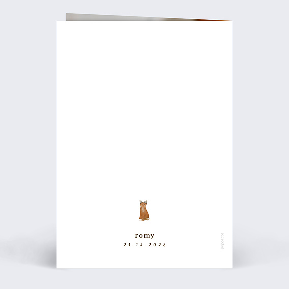 Faire part naissance Frise Renard Verso