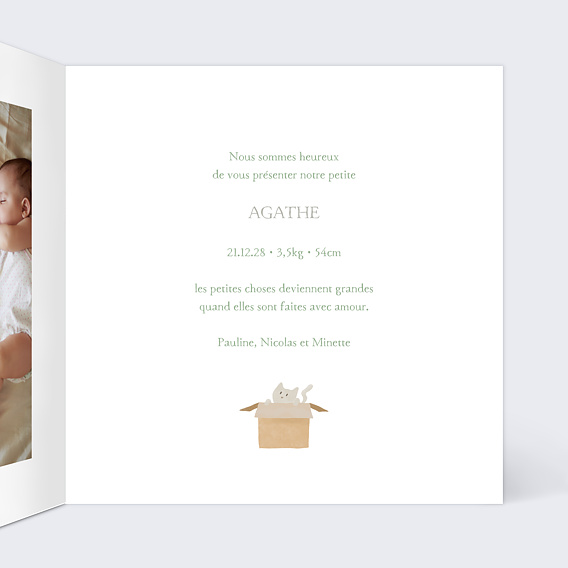 Faire part naissance Chaton Mignon Intérieur Droit