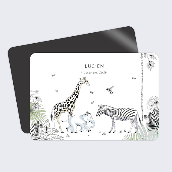 Faire part naissance Animaux Sauvages