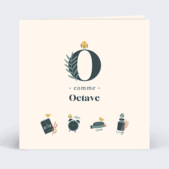 Faire-part Naissance Certificat Mésange