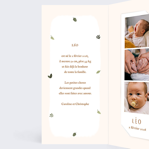 Faire-part Naissance Lion picto