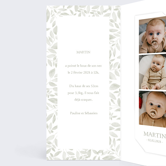 Faire part naissance Jolis brins Intérieur Gauche