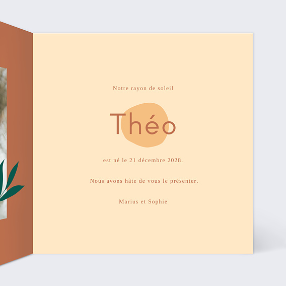 Faire part naissance Safran Intérieur Droit