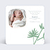 Faire part naissance Koala Original Verso