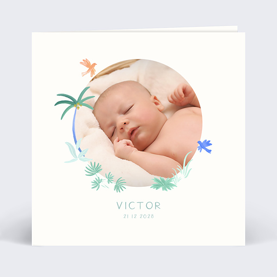 Faire part naissance Petits oiseaux Recto