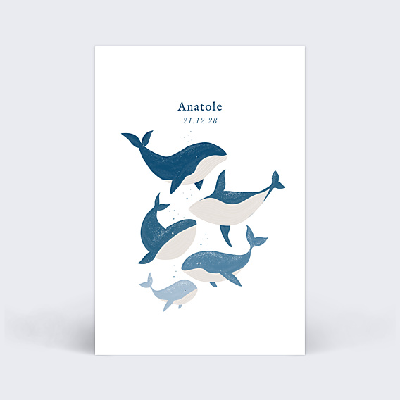 Faire part naissance Famille Baleine