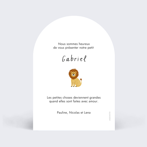 Faire-part Naissance Pictos savane