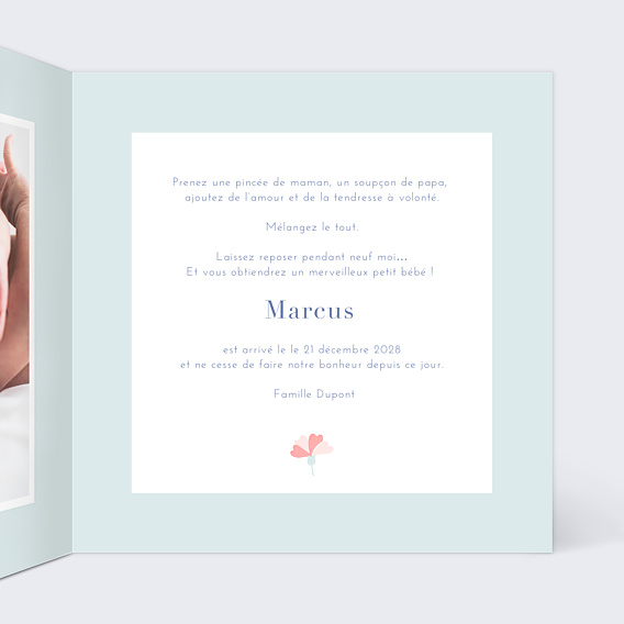 Faire-part Naissance Oisillons