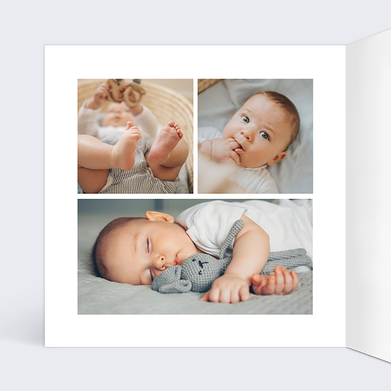 Faire part naissance Brindilles Fleuries Intérieur Gauche