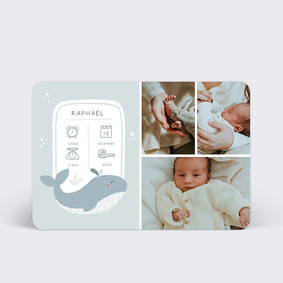 Faire-part Naissance Baleine certificat