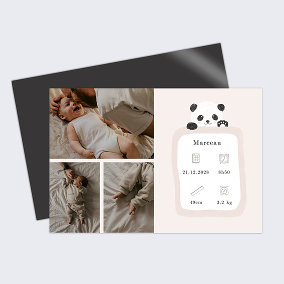 Faire part naissance Pictos panda