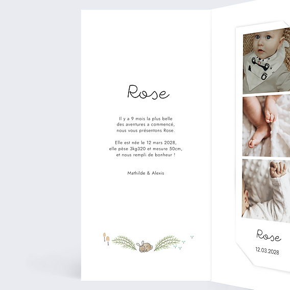 Faire-part Naissance Couronne renard