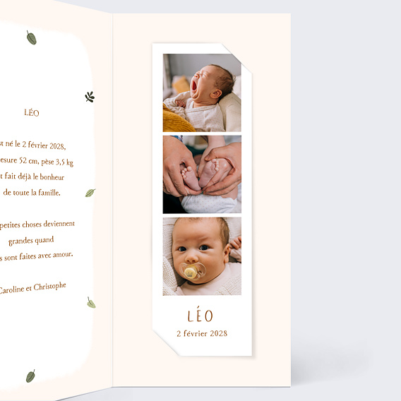 Faire part naissance Lion picto Intérieur Droit