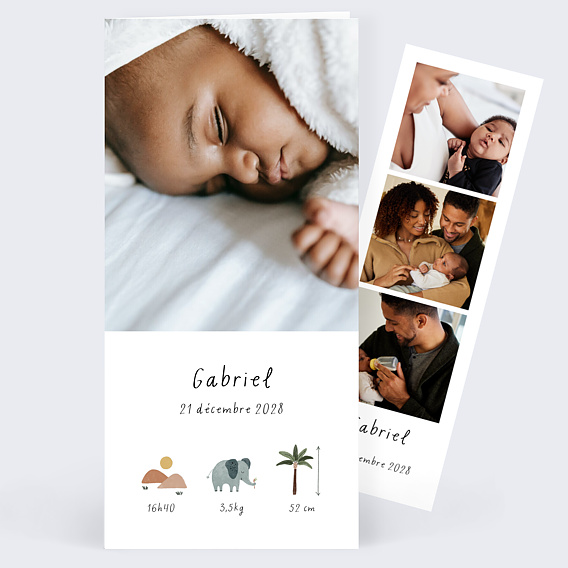 Faire part naissance Pictos savane Recto