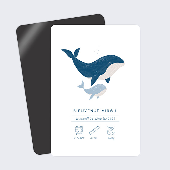 Faire part naissance Pictogrammes Baleineau