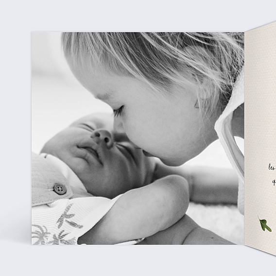 Faire-part Naissance Joli Renard