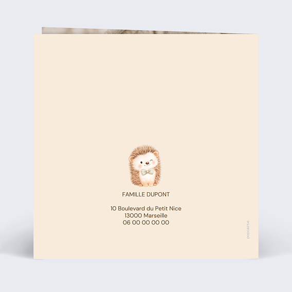 Faire part naissance Le groupe d’animaux Verso