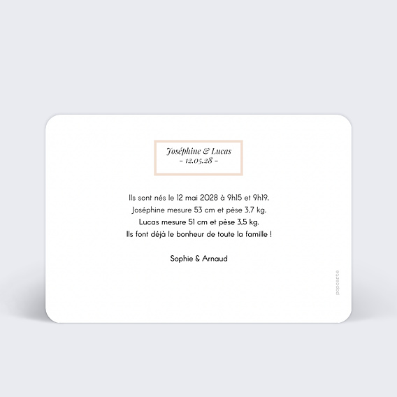 Faire part naissance Etiquette Poudrée Jumeaux Verso